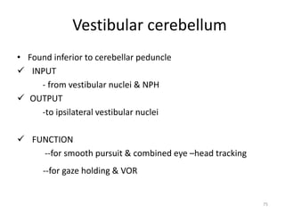 Vestibular cerebellum
• Found inferior to cerebellar peduncle
 INPUT
- from vestibular nuclei & NPH
 OUTPUT
-to ipsilateral vestibular nuclei
 FUNCTION
--for smooth pursuit & combined eye –head tracking
--for gaze holding & VOR
75
 