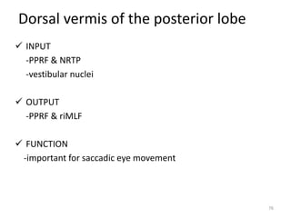 Dorsal vermis of the posterior lobe
 INPUT
-PPRF & NRTP
-vestibular nuclei
 OUTPUT
-PPRF & riMLF
 FUNCTION
-important for saccadic eye movement
76
 