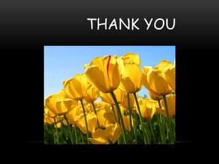 THANK YOU
 
