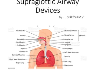 Supraglottic Airway
Devices
By ....GIREESH M.V
 