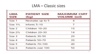 LMA – Classic sizes
17
 