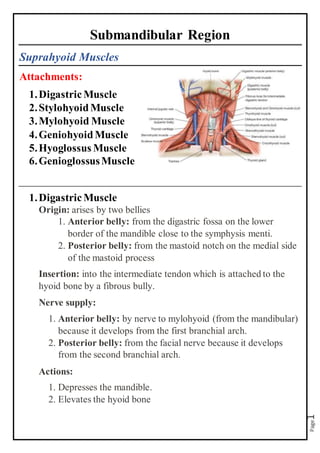 Page
1
Submandibular Region
Suprahyoid Muscles
Attachments:
1.DigastricMuscle
2.StylohyoidMuscle
3.Mylohyoid Muscle
4.GeniohyoidMuscle
5.Hyoglossus Muscle
6.GenioglossusMuscle
1.DigastricMuscle
Origin: arises by two bellies
1. Anterior belly: from the digastric fossa on the lower
border of the mandible close to the symphysis menti.
2. Posterior belly: from the mastoid notch on the medial side
of the mastoid process
Insertion: into the intermediate tendon which is attached to the
hyoid bone by a fibrous bully.
Nerve supply:
1. Anterior belly: by nerve to mylohyoid (from the mandibular)
because it develops from the first branchial arch.
2. Posterior belly: from the facial nerve because it develops
from the second branchial arch.
Actions:
1. Depresses the mandible.
2. Elevates the hyoid bone
 