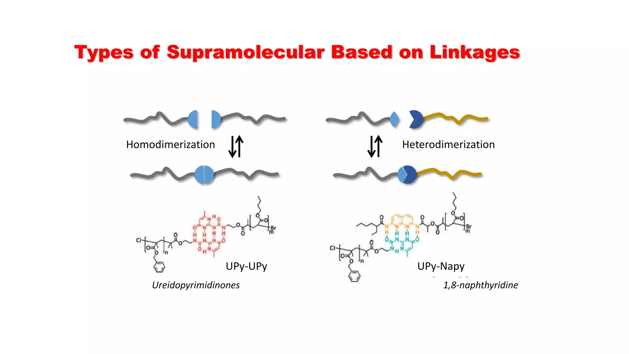 Types of Supramolecular Based on Linkages
Homodimerization Heterodimerization
UPy-UPy UPy-Napy
1,8-naphthyridineUreidopyrimidinones
 