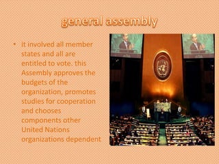 • it involved all member
states and all are
entitled to vote. this
Assembly approves the
budgets of the
organization, promotes
studies for cooperation
and chooses
components other
United Nations
organizations dependent
 