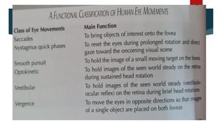 Functional classification of human eye
movts
 
