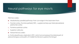 Neural pathways for eye movts
FEM Saccades:
 Mediated by parallel pathways that converge in the brainstem from
a. Frontal cortex- Frontal eyefield( FEF) , supplementary eye field,dorsolateral
prefrontal cortex
b. Posterior parietal cortex
c. Superior colliculus
 Horizontal saccades:
a. Cortical pathways originate in FEF ( which encompasses the lateral part of
precentral gyrus and parts of middle frontal and superior frontal gyri
 