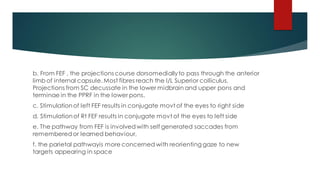 b. From FEF , the projections course dorsomediallyto pass through the anterior
limbof internal capsule. Most fibres reach the I/L Superior colliculus.
Projections from SC decussate in the lower midbrain and upper pons and
terminae in the PPRF in the lower pons.
c. Stimulationof left FEF results in conjugate movt of the eyes to right side
d. Stimulationof Rt FEF results in conjugate movt of the eyes to left side
e. The pathway from FEF is involvedwith self generated saccades from
rememberedor learned behaviour,
f. the parietal pathwayis more concerned with reorienting gaze to new
targets appearing in space
 
