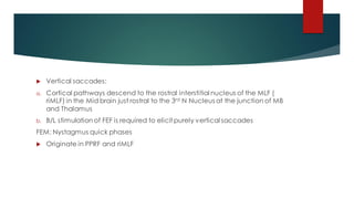  Vertical saccades:
a. Cortical pathways descend to the rostral interstitial nucleus of the MLF (
riMLF) in the Mid brain just rostral to the 3rd N Nucleus at the junction of MB
and Thalamus
b. B/L stimulation of FEF is required to elicit purely vertical saccades
FEM: Nystagmus quick phases
 Originate in PPRF and riMLF
 
