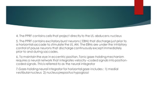 4. The PPRF contains cells that project directly to the I/L abducens nucleus
5. The PPRF contains excitatory burst neurons ( EBN) that discharge just prior to
a horizontal saccade to stimulate the I/L AN. The EBNs are under the inhibitory
control of pause neurons that discharge continuously except immediately
prior to and during saccades.
6. To maintainthe eye in eccentric position, Tonicgaze-holding mechanism
requires a neural network that integrates velocity –coded signals into position-
coded signals. This is referred to as the neural integrator
7.Gaze-holding neural integrator for horizontal gaze includes : 1) medial
vestibular nucleus 2) nucleus prepositus hypoglossi
 