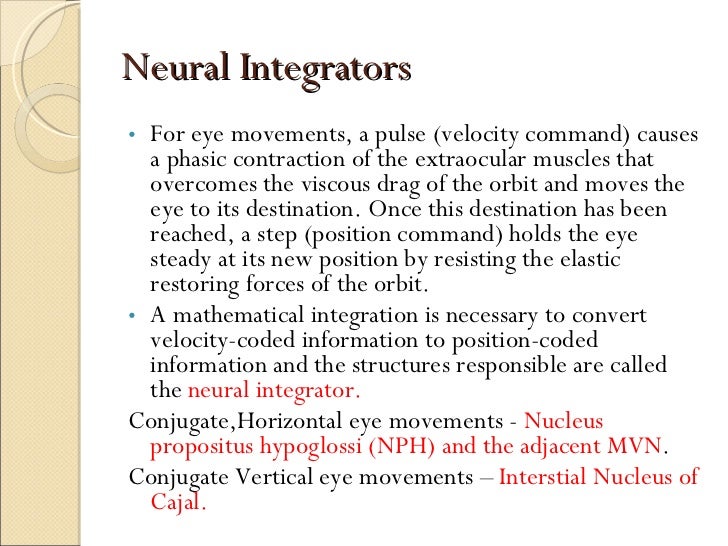 Supranuclear eye movement control (1)
