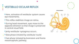 Supranuclear ocular motility disorder Supranuclear ocular motility ...