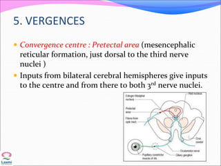 5. VERGENCES
 Convergence centre : Pretectal area (mesencephalic
reticular formation, just dorsal to the third nerve
nuclei )
 Inputs from bilateral cerebral hemispheres give inputs
to the centre and from there to both 3rd nerve nuclei.
 