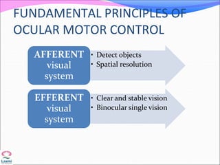 FUNDAMENTAL PRINCIPLES OF
OCULAR MOTOR CONTROL
• Detect objects
• Spatial resolution
AFFERENT
visual
system
• Clear and stable vision
• Binocular single vision
EFFERENT
visual
system
 