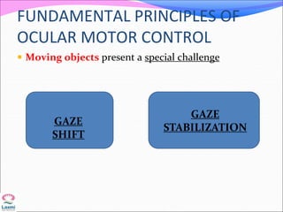 FUNDAMENTAL PRINCIPLES OF
OCULAR MOTOR CONTROL
 Moving objects present a special challenge
GAZE
SHIFT
GAZE
STABILIZATION
 