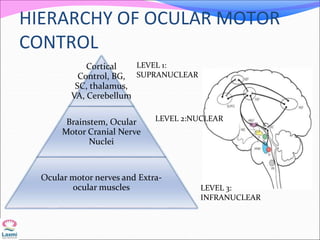 HIERARCHY OF OCULAR MOTOR
CONTROL
Cortical
Control, BG,
SC, thalamus,
VA, Cerebellum
Brainstem, Ocular
Motor Cranial Nerve
Nuclei
Ocular motor nerves and Extra-
ocular muscles
LEVEL 1:
SUPRANUCLEAR
LEVEL 2:NUCLEAR
LEVEL 3:
INFRANUCLEAR
 