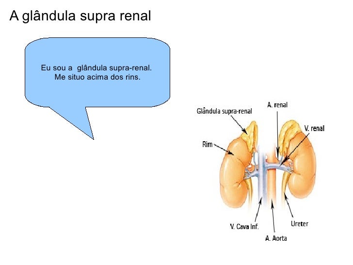 Supra renal Supra renal