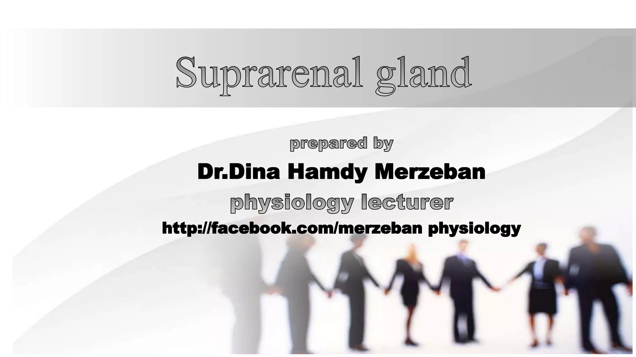 Suprarenal gland dr dina | PPT