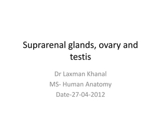 Suprarenal glands, ovary and
           testis
       Dr Laxman Khanal
      MS- Human Anatomy
       Date-27-04-2012
 