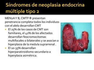 Patologia Glandulas Suprarrenales.