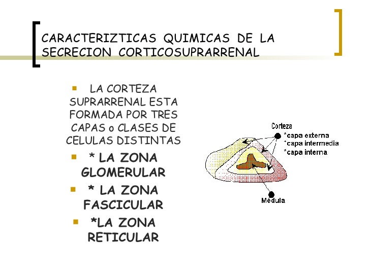 Los preparados que influyen sobre la potencia a los hombres