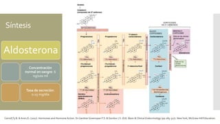 Síntesis
Aldosterona
Concentración
normal en sangre: 6
ng/100 ml
Tasa de secreción:
0.15 mg/día
Carroll,Ty B. & Aron,D. (2017). Hormones and Hormone Action. En GardnerGreenspan F.S. & Gordon J.S. (Ed). Basic & Clinical Endocrinology (pp.285-327). NewYork, McGraw-Hill Education.
 