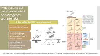 Metabolismo del
colesterol y síntesis
de andrógenos
suprarrenales
Colesterol  pregnenolona =
esteroidogénesis suprarrenal
Síntesis de DHEA y su
metabolito sulfatado en
respuesta a ACTHY CRH 
hombres y mujeres.
enzima sulfatasa de
hidroesteroides 
dihidroepiandrosterona
sulfatada (DHEAS)
Carroll,Ty B. & Aron,D. (2017). Hormones and Hormone Action. En GardnerGreenspan F.S. & Gordon J.S. (Ed). Basic & Clinical Endocrinology (pp.285-327). NewYork, McGraw-Hill Education.
DHEA, sulfato de DHEA y androstenediona
 