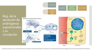 Reg. de la
secreción de
andrógenos
suprarrenales
y su
circulación
Carroll,Ty B. & Aron,D. (2017). Hormones and Hormone Action. En GardnerGreenspan F.S. & Gordon J.S. (Ed). Basic & Clinical Endocrinology (pp.285-327). NewYork, McGraw-Hill Education.
Regulación
Eje hipotálamo-
hipáfisis-
suprarrenal 
ACTH  CRH
Patrón circadiano
Circulación
Proteínas
plasmáticas 
albumina
/SHBG
 