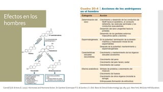 Efectos en los
hombres
Carroll,Ty B. & Aron,D. (2017). Hormones and Hormone Action. En GardnerGreenspan F.S. & Gordon J.S. (Ed). Basic & Clinical Endocrinology (pp.285-327). NewYork, McGraw-Hill Education.
 
