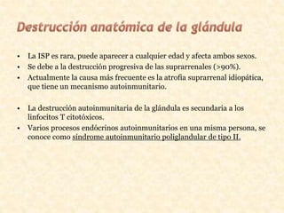 • La ISP es rara, puede aparecer a cualquier edad y afecta ambos sexos.
• Se debe a la destrucción progresiva de las suprarrenales (>90%).
• Actualmente la causa más frecuente es la atrofia suprarrenal idiopática,
que tiene un mecanismo autoinmunitario.
• La destrucción autoinmunitaria de la glándula es secundaria a los
linfocitos T citotóxicos.
• Varios procesos endócrinos autoinmunitarios en una misma persona, se
conoce como síndrome autoinmunitario poliglandular de tipo II.
 