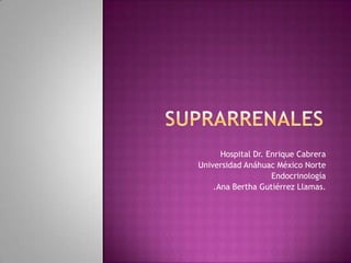 Hospital Dr. Enrique Cabrera
Universidad Anáhuac México Norte
Endocrinología
.Ana Bertha Gutiérrez Llamas.

 