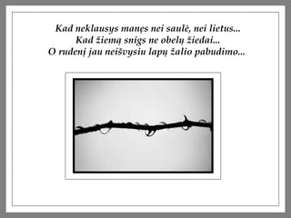 Kad neklausys man?s nei saul?, nei lietus... Kad ?iem? snigs ne obel? ?iedai... O ruden? jau nei?vysiu lap? ?alio pabudimo...  