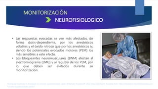 MONITORIZACIÓN
• Las respuestas evocadas se ven más afectadas, de
forma dosis-dependiente, por los anestésicos
volátiles y el óxido nitroso que por los anestésicos iv,
siendo los potenciales evocados motores (PEM) los
más sensibles a este efecto.
• Los bloqueantes neuromusculares (BNM) afectan al
electromiograma (EMG) y al registro de los PEM, por
lo que deben ser evitados durante su
monitorización.
Rodríguez Contreras R. Anestesia en tumores supratentoriales. parte I [Internet]. AnestesiaR. 2022 [cited 2023Apr2]. Available from: https://anestesiar.org/2022/anestesia-en-
tumores-supratentoriales-parte-i/
NEUROFISIOLOGICO
 
