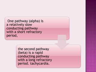 One pathway (alpha) is
a relatively slow
conducting pathway
with a short refractory
period,

the second pathway
(beta) is a rapid
conducting pathway
with a long refractory
period. tachycardia.

 