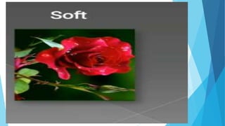 sorting materials into groups class 6 ppt