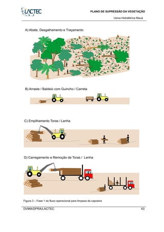 PLANO DE SUPRESSÃO DA VEGETAÇÃO
Usina Hidrelétrica Mauá
DVMA/DPRA/LACTEC 43
Figura 3 – Fase 1 do fluxo operacional para limpeza da capoeira
 