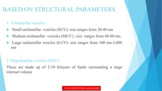 BASED ON STRUCTURAL PARAMETERS
1. Unilamellar vesicles:
 Small unilamellar vesicles (SUV): size ranges from 20-40 nm
 Medium unilamellar vesicles (MUV}: size ranges from 40-80 nm.
 Large unilamellar vesicles (LUV): size ranges from 100 nm-1,000
nm
2. Oligolamellar vesicles (OLV):
These are made up of 2-10 bilayers of lipids surrounding a large
internal volume
© R R INSTITUTIONS , BANGALORE
 