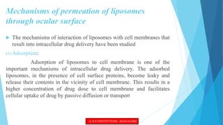 Mechanisms of permeation of liposomes
through ocular surface
 The mechanisms of interaction of liposomes with cell membranes that
result into intracellular drug delivery have been studied
(1) Adsorption:
Adsorption of liposomes to cell membrane is one of the
important mechanisms of intracellular drug delivery. The adsorbed
liposomes, in the presence of cell surface proteins, become leaky and
release their contents in the vicinity of cell membrane. This results in a
higher concentration of drug dose to cell membrane and facilitates
cellular uptake of drug by passive diffusion or transport
© R R INSTITUTIONS , BANGALORE
 