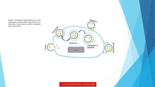 © R R INSTITUTIONS , BANGALORE
 