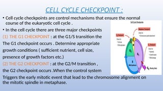 SUPRITI CELL BIO.pptx CELL cycle and its regulation | PPTX