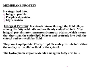 MEMBRANE PROTEIN
It categorized into:
1) Integral protein.
2) Peripheral protein.
3) Glycoprotein.
Integral Protein: It extends into or through the lipid bilayer
among the fatty acid tails and are firmly embedded in it. Most
integral proteins are transmembrane proteins, which means
that they span the entire lipid bilayer and protrude into both the
cytosol and extracellular fluid.
They are Amphipathic. The hydrophilic ends protrude into either
the watery extracellular fluid or the cytosol.
The hydrophobic regions extends among the fatty acid tails.
15
 