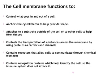 The Cell membrane functions to:
 Control what goes in and out of a cell.
 Anchors the cytoskeleton to help provide shape.
 Attaches to a substrate outside of the cell or to other cells to help
form tissues
 Controls the transportation of substances across the membrane by
using proteins as carriers and channels
 Contains receptors that allow cells to communicate through chemical
messages
 Contains recognition proteins which help identify the cell, so the
immune system does not attack it.
23
 