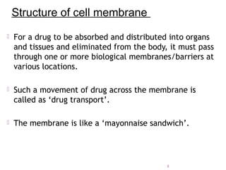  For a drug to be absorbed and distributed into organs
and tissues and eliminated from the body, it must pass
through one or more biological membranes/barriers at
various locations.
 Such a movement of drug across the membrane is
called as ‘drug transport’.
 The membrane is like a ‘mayonnaise sandwich’.
Structure of cell membrane
5
 