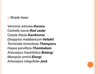  Shade trees:
Vernonia arborea-Karana
Cedrella toona-Red cedar
Cassia fistula-Kanikonna
Diospyros malabaricum-Vellakil
Terminalia tomentosa-Thempavu
Hopea parviflora-Thambakam
Artocarpus fraxinifolius-Balangi
Mesopsis eminii-Elangi
Artocarpus integrifolia-Jack
 