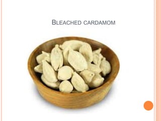 BLEACHED CARDAMOM
 