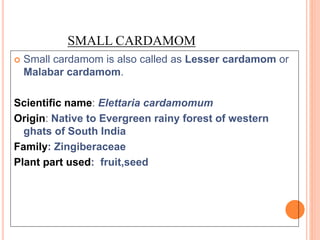 SMALL CARDAMOM
 Small cardamom is also called as Lesser cardamom or
Malabar cardamom.
Scientific name: Elettaria cardamomum
Origin: Native to Evergreen rainy forest of western
ghats of South India
Family: Zingiberaceae
Plant part used: fruit,seed
 