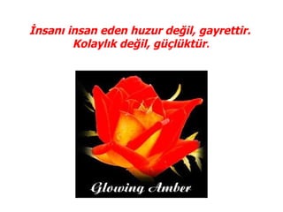 İnsanı insan eden huzur değil, gayrettir.
        Kolaylık değil, güçlüktür.
 