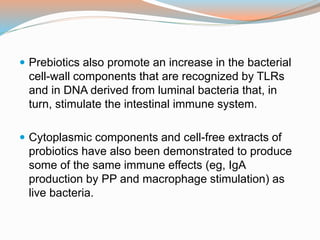  Prebiotics also promote an increase in the bacterial
cell-wall components that are recognized by TLRs
and in DNA derived from luminal bacteria that, in
turn, stimulate the intestinal immune system.
 Cytoplasmic components and cell-free extracts of
probiotics have also been demonstrated to produce
some of the same immune effects (eg, IgA
production by PP and macrophage stimulation) as
live bacteria.
 