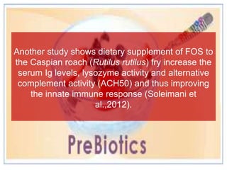 Another study shows dietary supplement of FOS to
the Caspian roach (Rutilus rutilus) fry increase the
serum Ig levels, lysozyme activity and alternative
complement activity (ACH50) and thus improving
the innate immune response (Soleimani et
al.,2012).
 