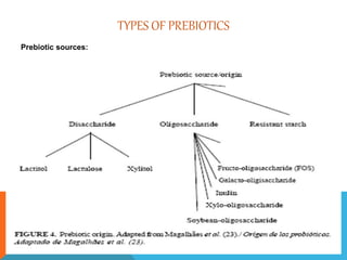 TYPES OF PREBIOTICS
Prebiotic sources:
 