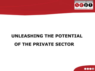 UNLEASHING THE POTENTIAL  OF THE PRIVATE SECTOR 